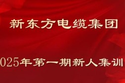 立足新东方、承揽新未来——记2025年第一期新人集训2025年4月出道新人完整